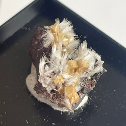 Poldervaartite et Bultfonteinite