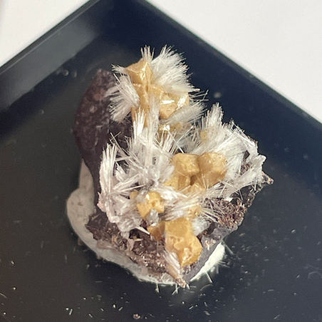 Poldervaartite et Bultfonteinite