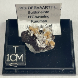 Poldervaartite et Bultfonteinite