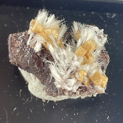Poldervaartite et Bultfonteinite