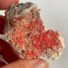 Metastibine, USA