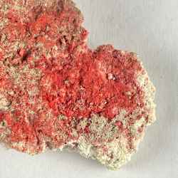 Metastibine, USA