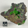 Conichalcite, Mexico