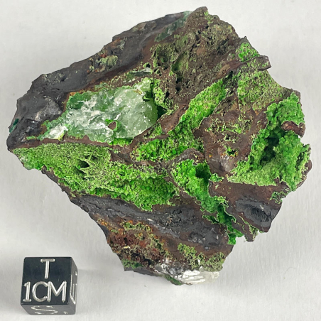 Conichalcite, Mexico