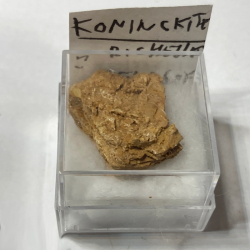 Koninckite, Belgique