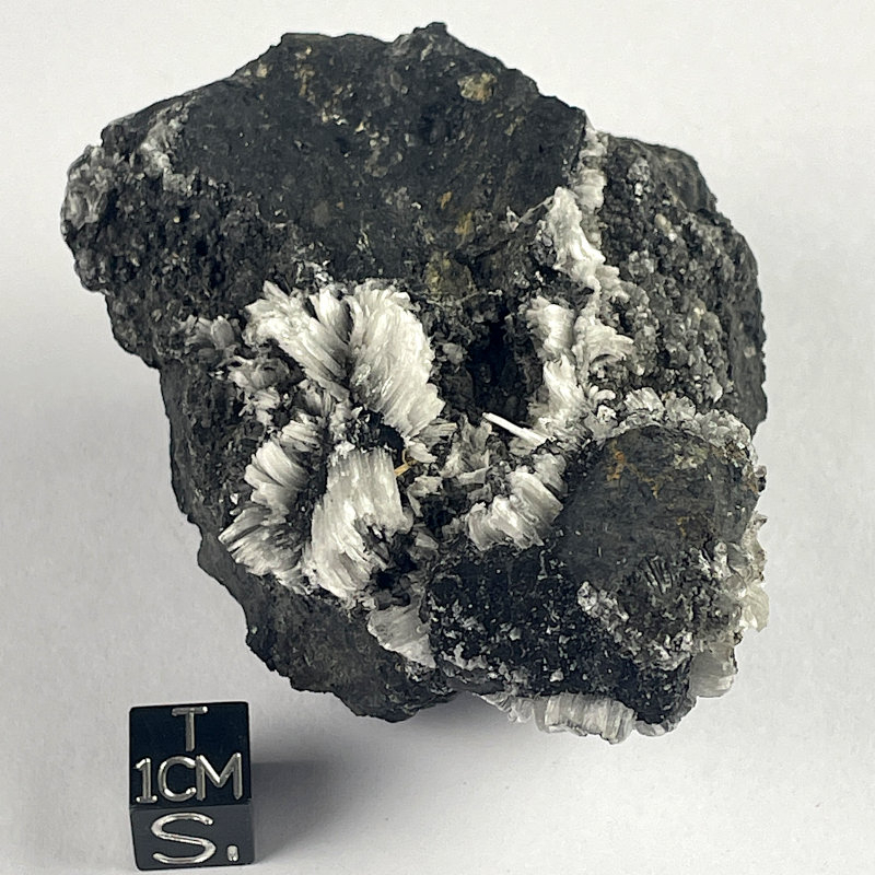 Gypsum, Mexico Gypsum, Mexico