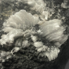 Gypsum, Mexico