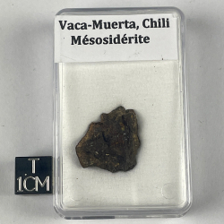 Vaca Muerta, Chili
