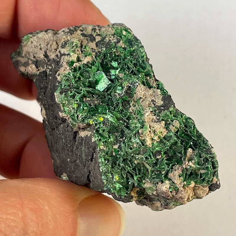 Torbernite, République Démocratique du Congo