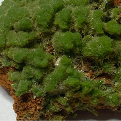 Pyromorphite, France