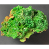 Pyromorphite, France