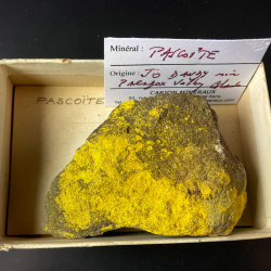 Pascoite, USA