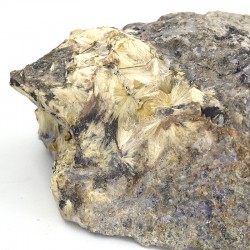 Carpholite