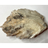 Adulaire et Mica Lépidolite, Brésil