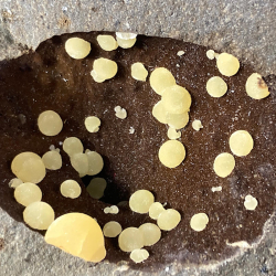 Calcite on Basalt, Italy