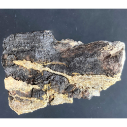 Native arsenic, France