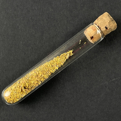 Native gold, France