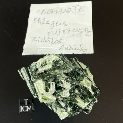 Actinote, Austria