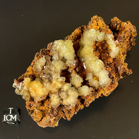 Hemimorphigte, République Démocratique du Congo