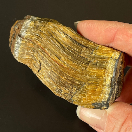 Crocidolite, Afrique du Sud