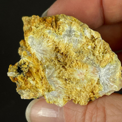 Valentinite, Algérie