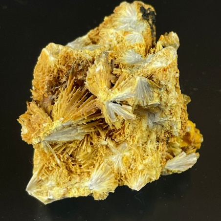 Valentinite, Algérie