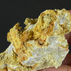 Valentinite, Algérie
