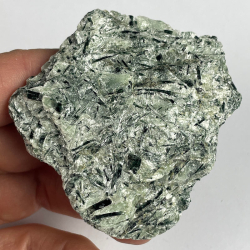 Actinote, Nouvelle-Calédonie, France