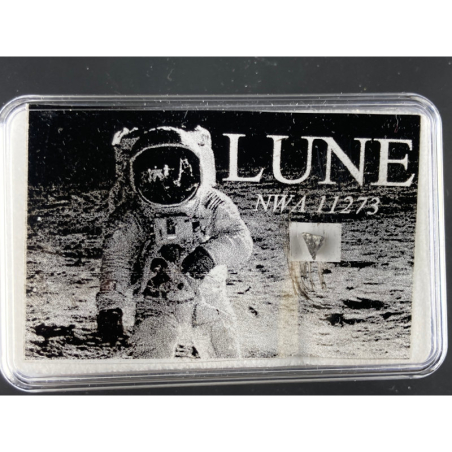 NWA 11273, Nord-Ouest Africain