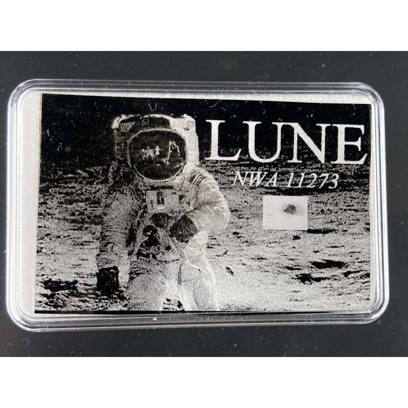 NWA 11273, Nord-Ouest Africain