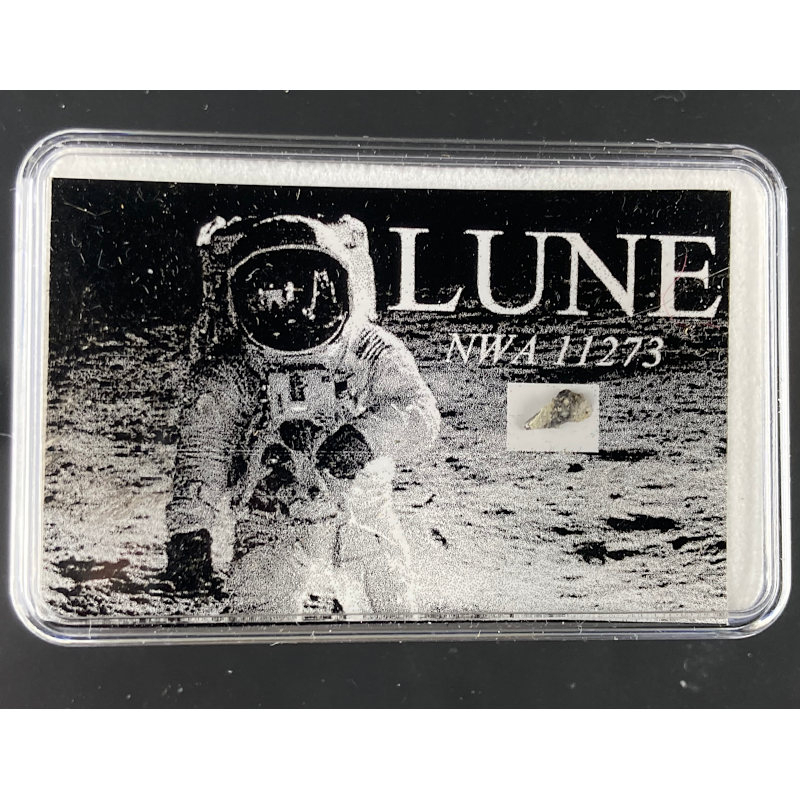 NWA 11273, Nord-Ouest Africain