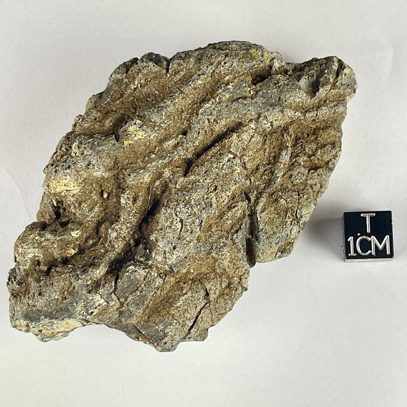 Glass Bomb, Allemagne