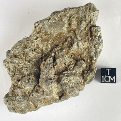 Glass Bomb, Allemagne