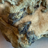 Benitoite and Neptunite, USA