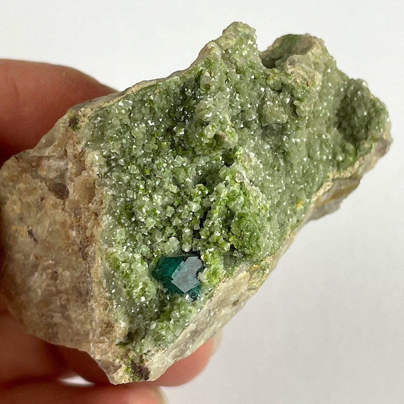 Dioptase on Mottramite from Tsumeb
