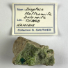 Dioptase on Mottramite from Tsumeb