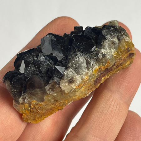 Quartz Morion, France