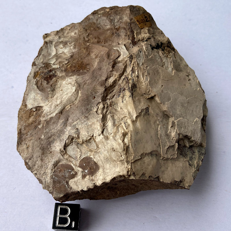 Brucite, France