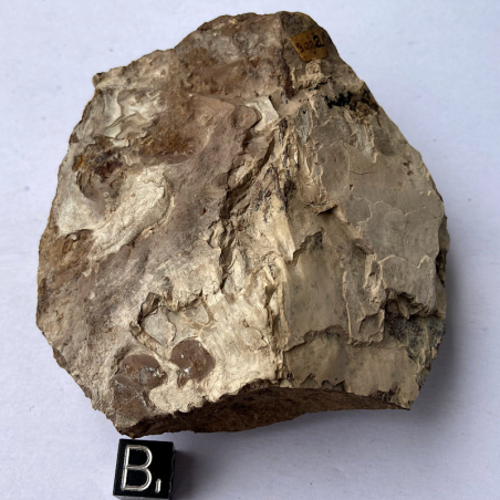 Brucite, France