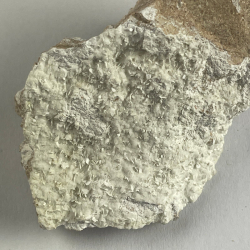 Hydrocalumite and Afwillite, France