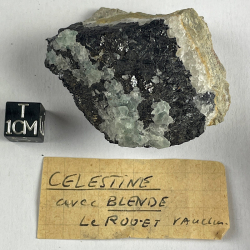 Célestine
