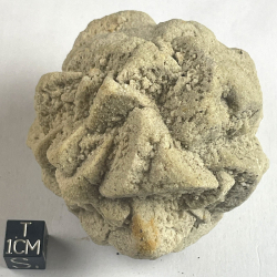 Pseudomorph Sandstone after Calcite, France