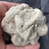 Pseudomorphose Grès après Calcite, France