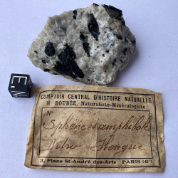 Sphène et Amphibole, Hongrie