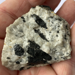 Sphene and Amphibola, Hungary