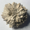 Pseudomorphosis Calcite after Ikaite, Russia