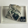 Turquoise, Belgique