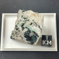 Turquoise, Belgique