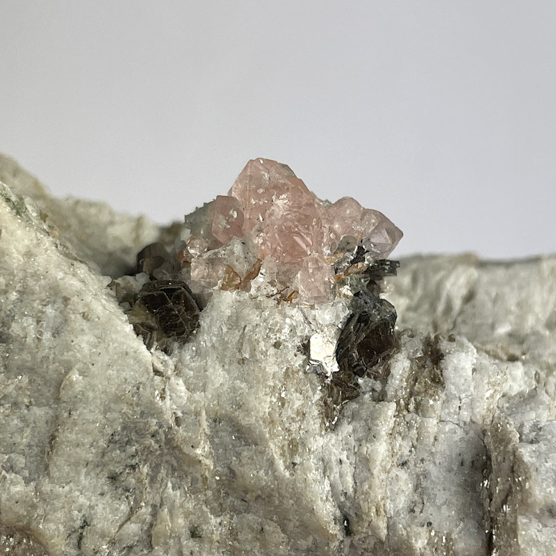 Fluorine, France