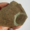 Ogyginus Corndensis, Royaume-Uni